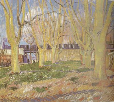 Vincent Van Gogh Avenue of Plane Trees near Arles Station (nn04) China oil painting art